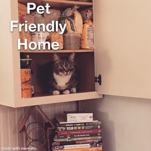Pet Friendly Home 🏡 🐈